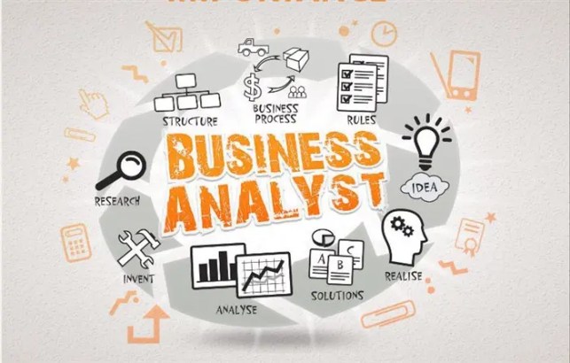 What does a business analyst do ? How its beneficial