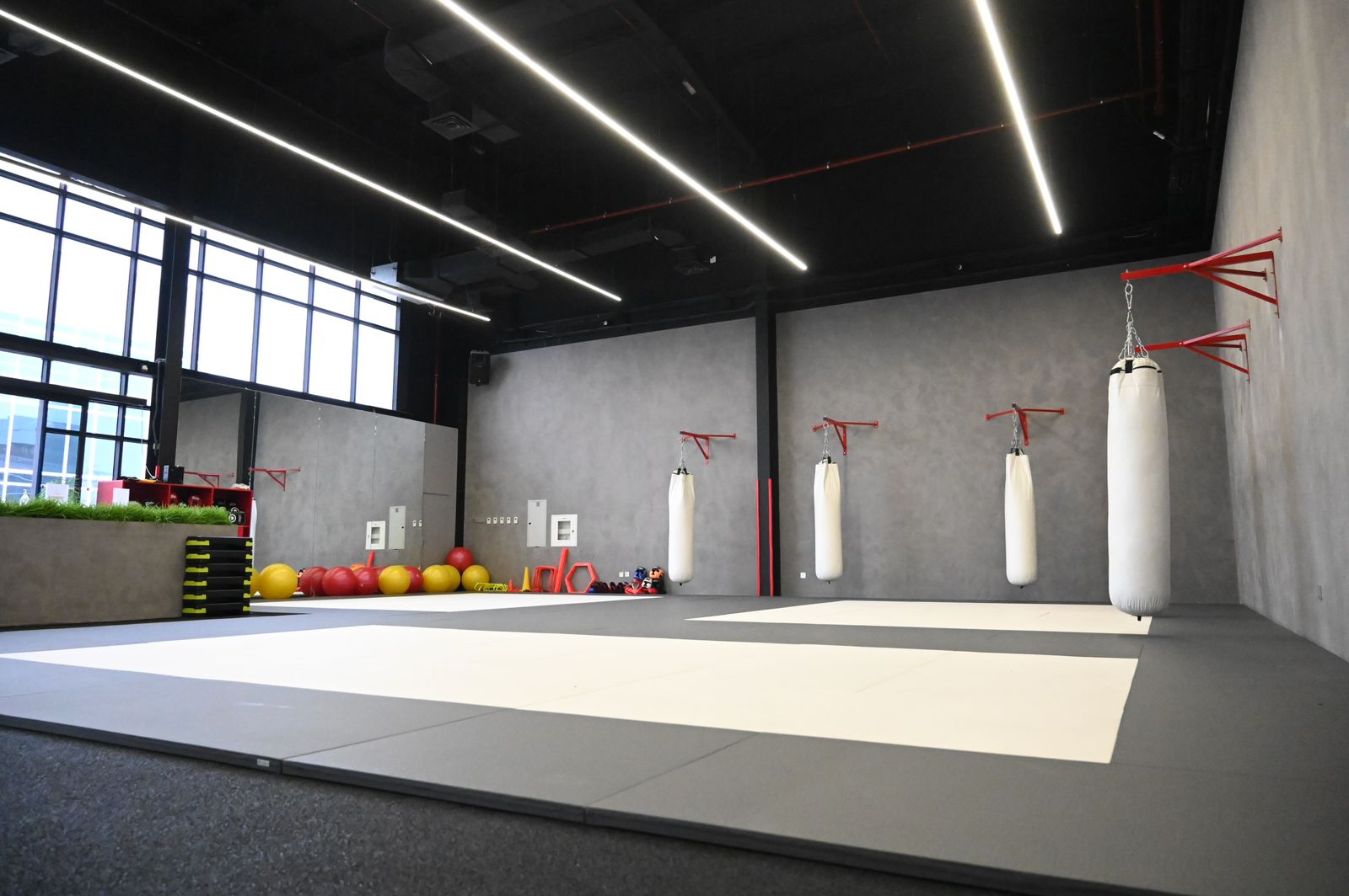 Gym for sale in Sharjah BusinessFinder.Me business for sale