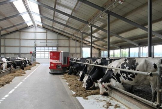 Key features about Dairy Farming Infrastructure in Dubai