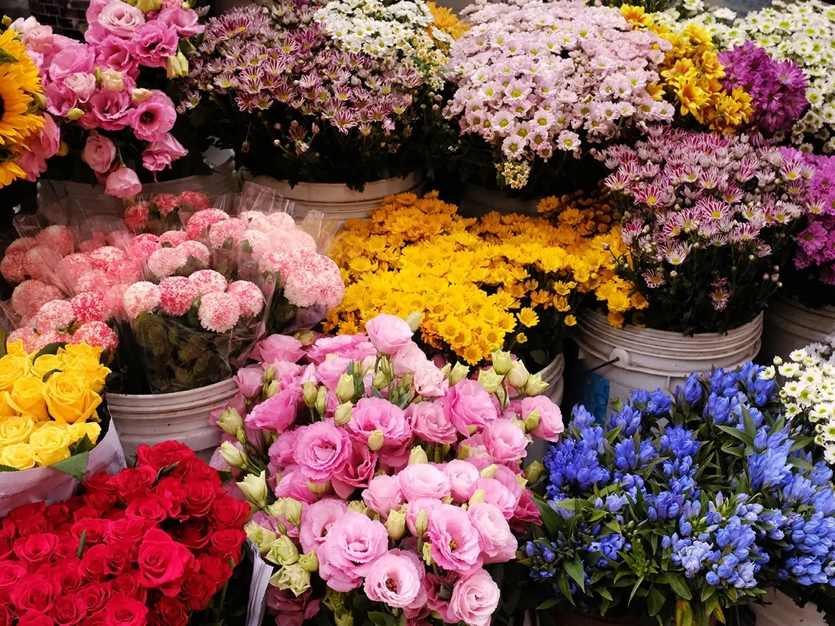 Gettyimages 854296052 1 27100918897 How To Start Flower Business In Dubai flower business