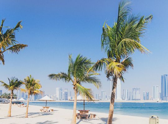 Which Business is most profitable in Dubai?