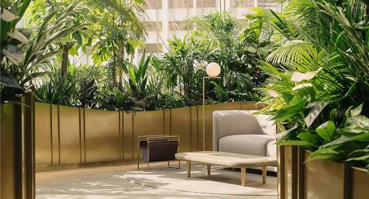 Interior landscaping company for sale in Dubai