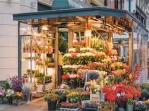 Running flower shop for sale in Dubai