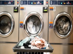 Established laundry business for sale in Dubai