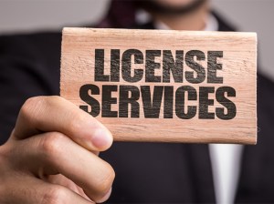 IT service business license for sale in Dubai