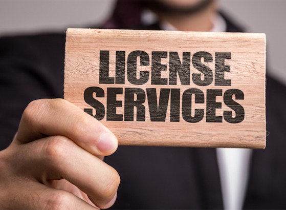 IT service business license for sale in ...