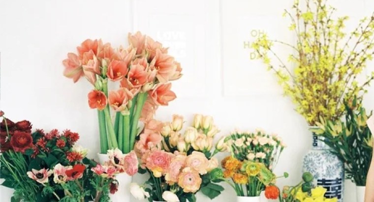 Established flower shop for sale in Duba...