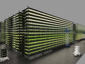 Industrial vertical farm for sale in Dubai